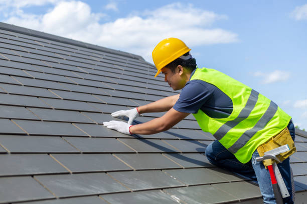 Best Solar Panel Roofing Installation  in Cove Creek, NC
