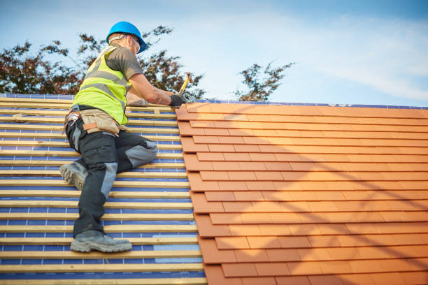 Best Roof Leak Repair  in Cove Creek, NC
